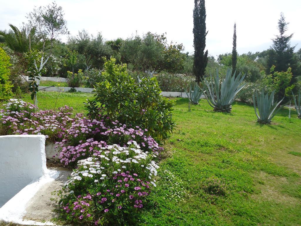 Muses Villas Foinikounda Chambre photo