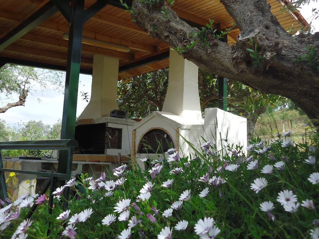 Muses Villas Foinikounda Chambre photo